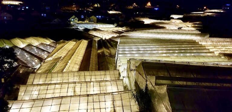 Starview Villa Dalat Ngoại thất bức ảnh
